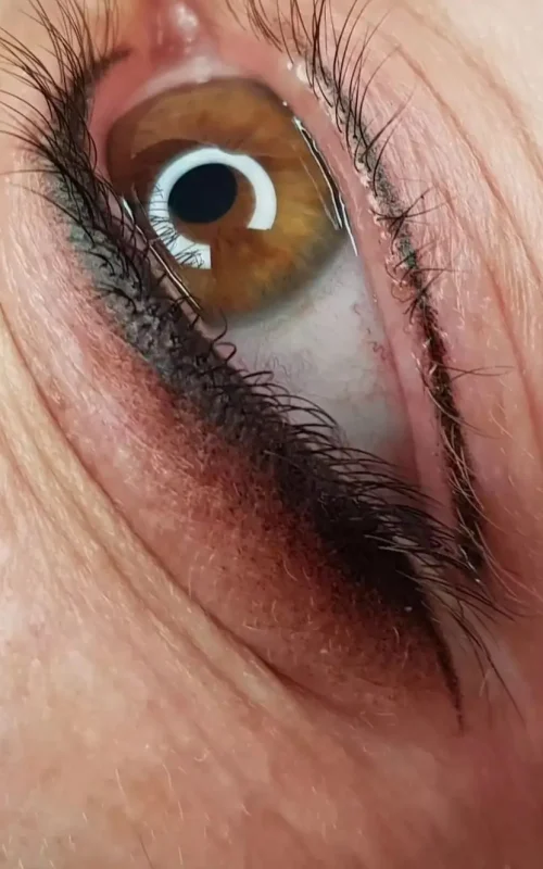 Nahaufnahme eines Auges nach einer professionellen Eyeliner-Behandlung. Der Lidstrich mit sanftem Schattierungseffekt betont die Augen und sorgt für einen ausdrucksstarken und langanhaltenden Look.
